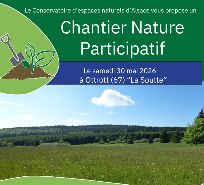 Chantier Nature Participatif