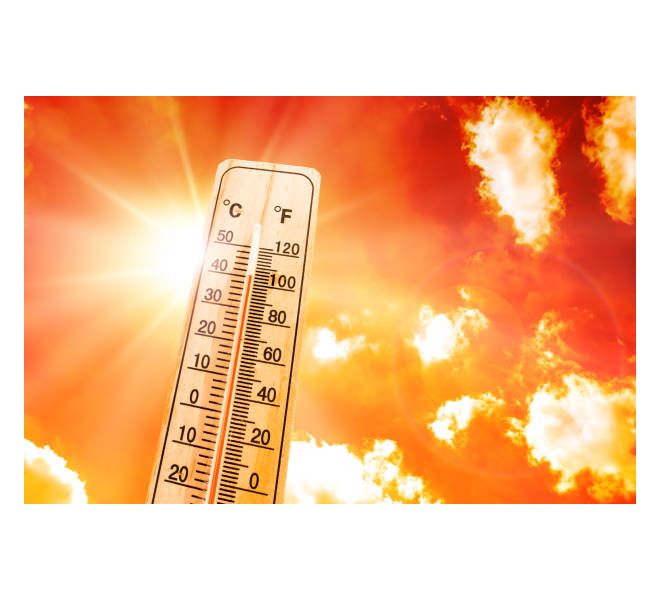 Canicule